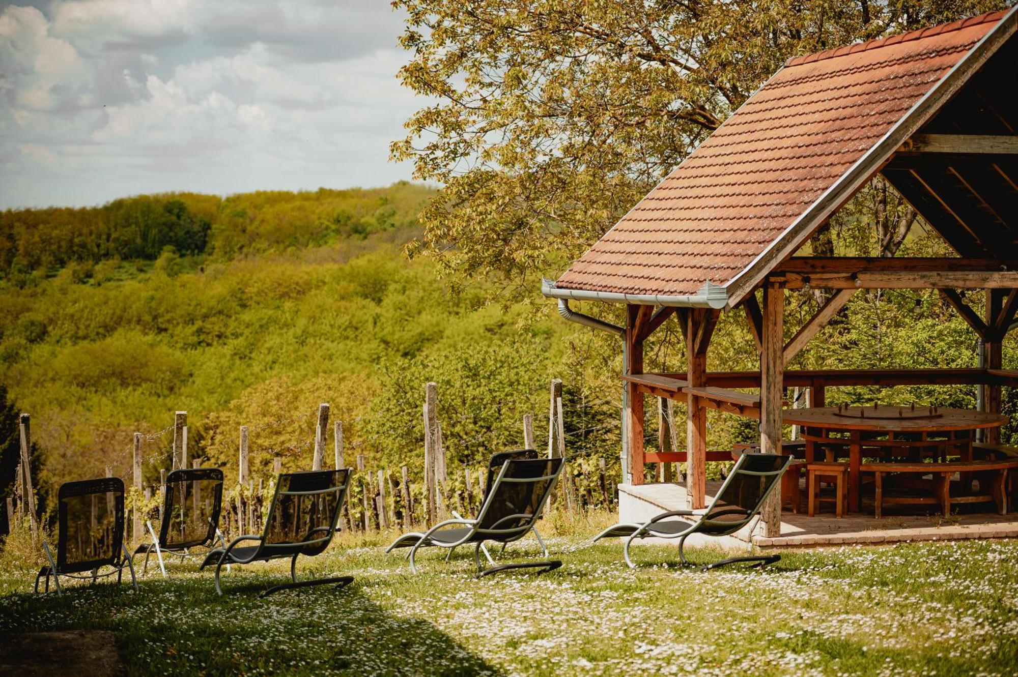 Foerhenc Wine House & Guesthouses I-Ii-Iii Nagykanizsa Exterior foto